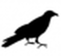 quoth the raven's Photo